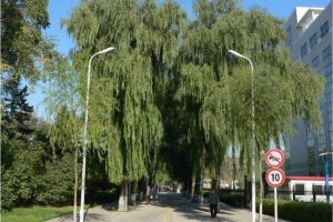 hit_campus