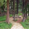 зона отдыха в старом кампусе