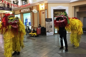 Львы