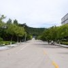 SONY DSC