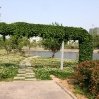 img_4446