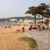 img_4453