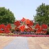 img_4471