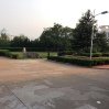 img_4516