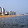 SONY DSC