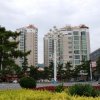 SONY DSC