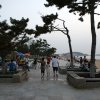 SONY DSC