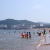 SONY DSC
