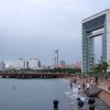 SONY DSC