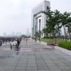 SONY DSC